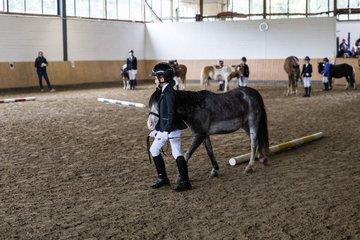 Bild 31 - Pony Akademie Turnier